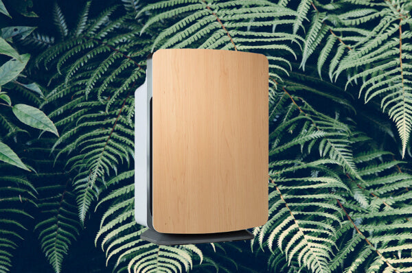 Breathe Easy: 10 Air Purifiers Helpful For Your Allergies
