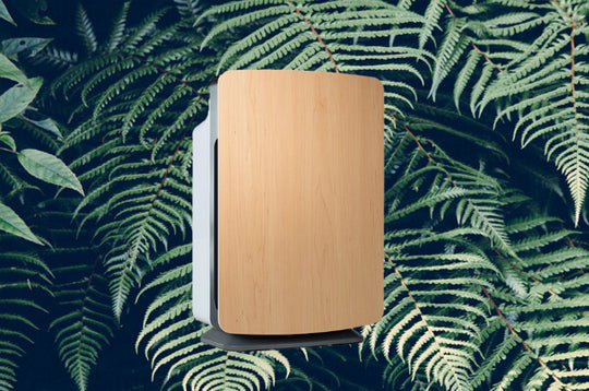 Breathe Easy: 10 Air Purifiers Helpful For Your Allergies