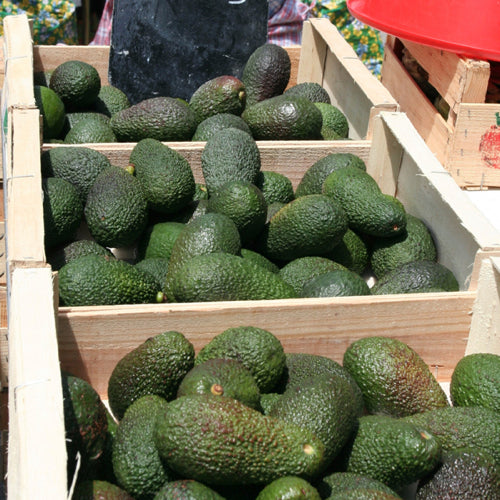 Another Millionaire Has An Opinion on "Broke" Millennials and It Involves Avocados.