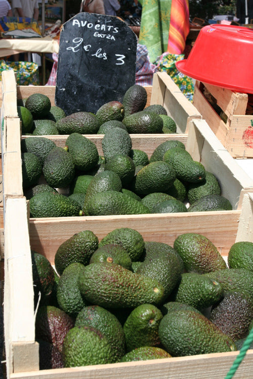 Another Millionaire Has An Opinion on "Broke" Millennials and It Involves Avocados.