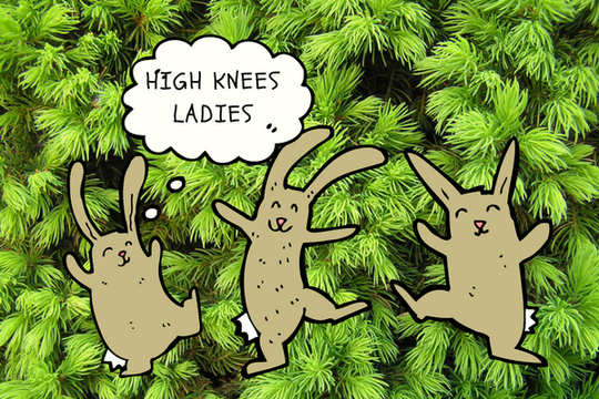 The Cardio Bunny Body