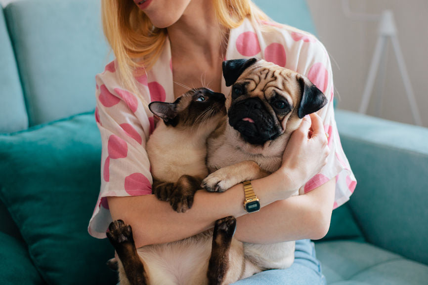 Taking Pet Breaks Can Aid In Wellness &amp; Self-Care