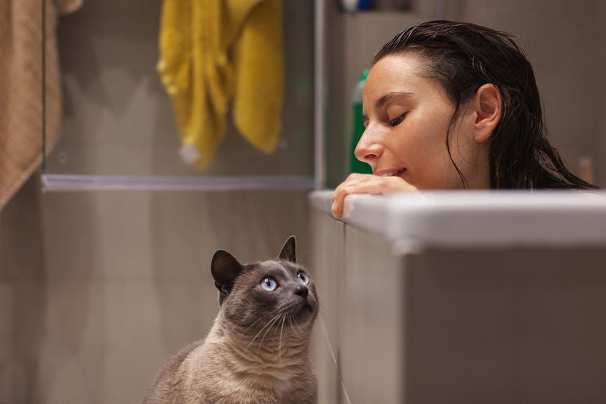 I Co-Parent My Cats With My Ex & It’s Actually Really Common