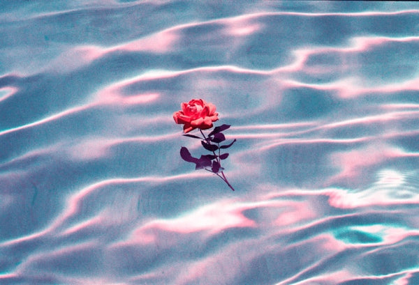 If This Is Your Sign, May Might Be One Big lesson In Self-Love For You
