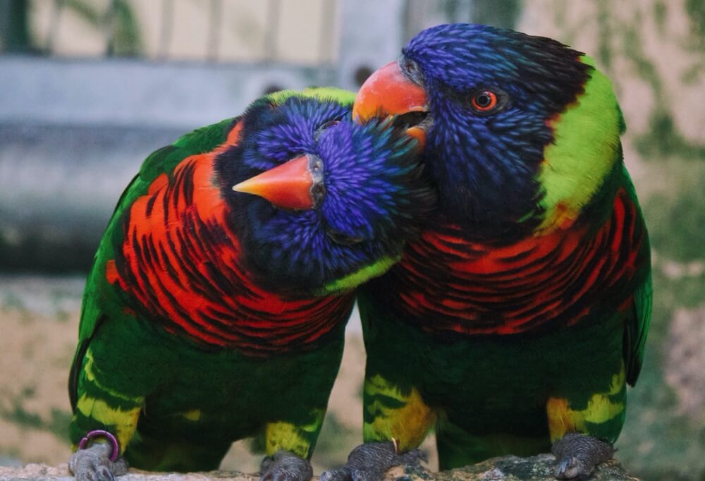 Synchronicity and Love: How to Follow the Signs to Your Soul-Mate
