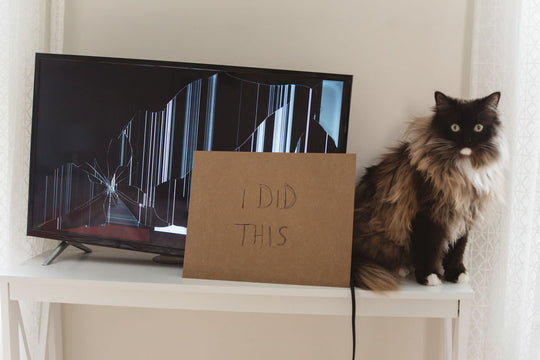 10 Hilarious Tweets That Reveal What Your Pet Is Googling About You