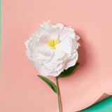 The Oh So Many! Paper Flower Craft Kit