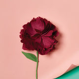 The Oh So Many! Paper Flower Craft Kit