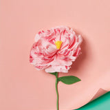 The Oh So Many! Paper Flower Craft Kit