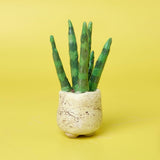 Succulent Sculptures Pottery Kit for Beginners