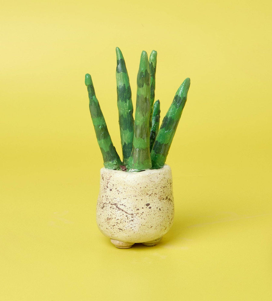 Succulent Sculptures Pottery Kit for Beginners