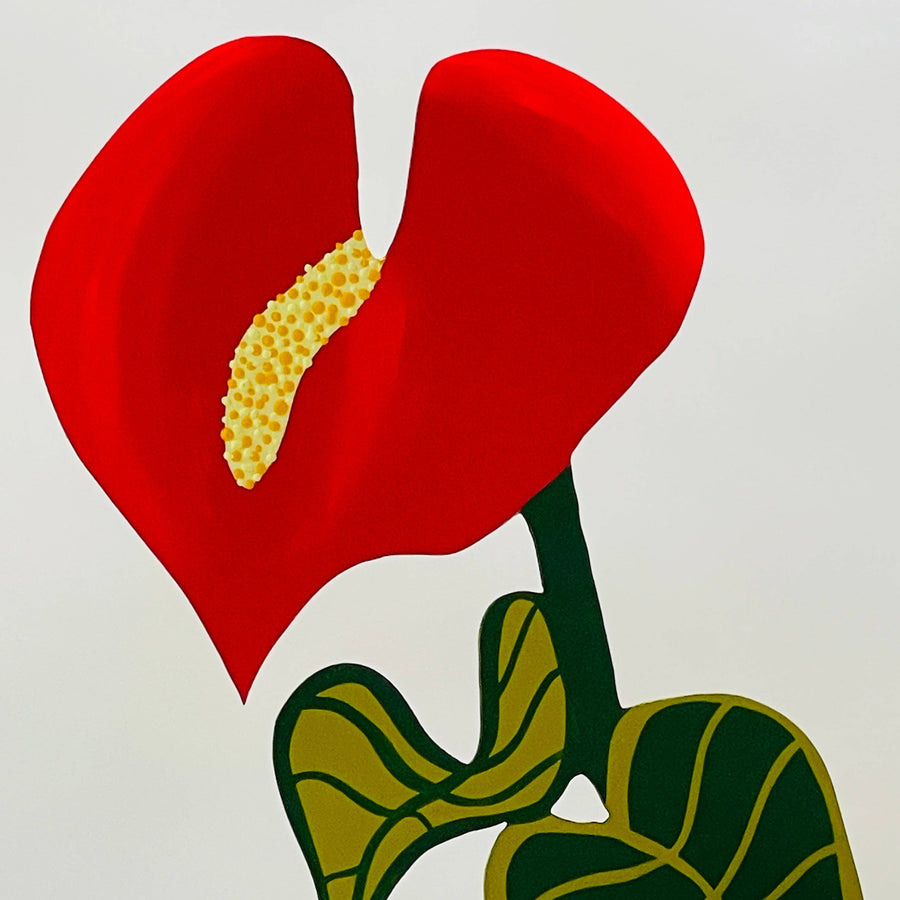 Anthurium Forever Flower