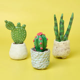 Succulent Sculptures Pottery Kit for Beginners