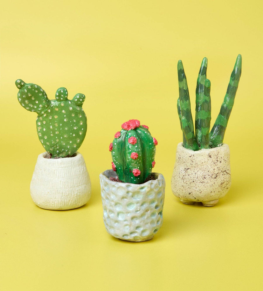 Succulent Sculptures Pottery Kit for Beginners