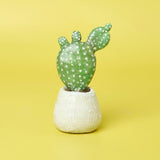 Succulent Sculptures Pottery Kit for Beginners