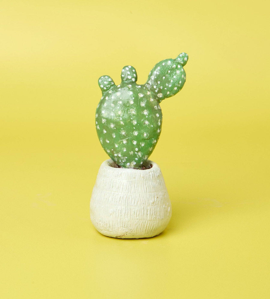 Succulent Sculptures Pottery Kit for Beginners
