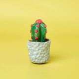 Succulent Sculptures Pottery Kit for Beginners