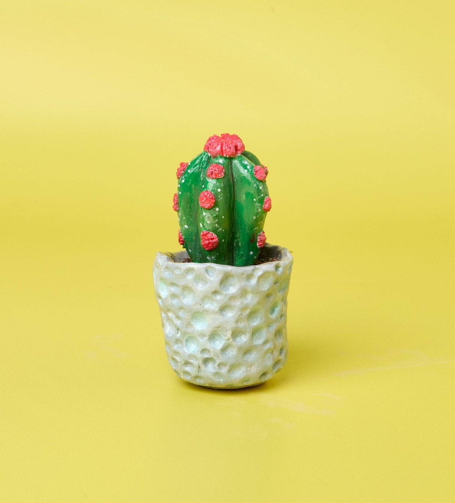 Succulent Sculptures Pottery Kit for Beginners